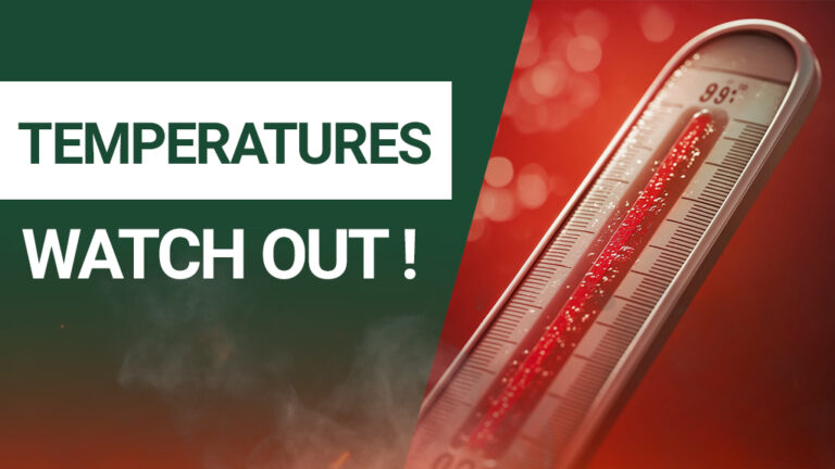 temperature tea conservation