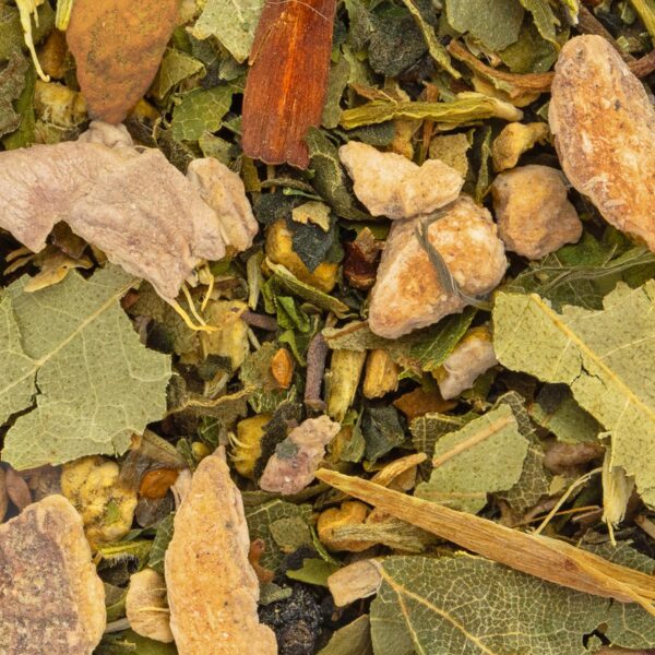 Tisane Immunité Saveur Gingembre par Made in Thé - Vue zoomée