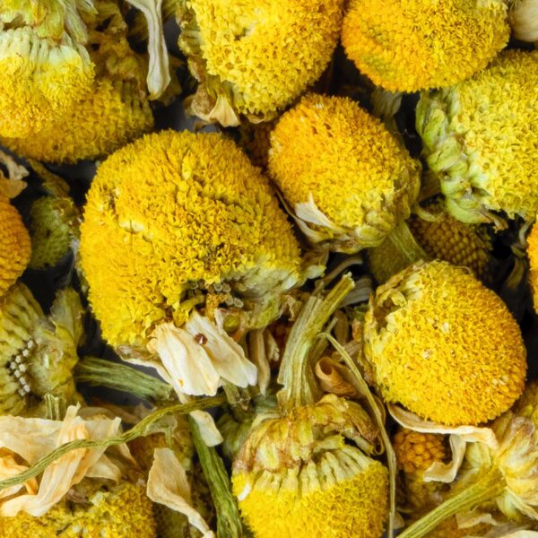 Made In The Infusion TISA047 Tisane Camomille Bio Top View Standard 2