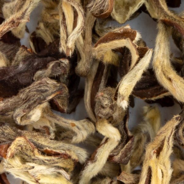 Thé Vert Green Jade Silver Snail 1st Grade Bio par Made in Thé - Vue zoomée