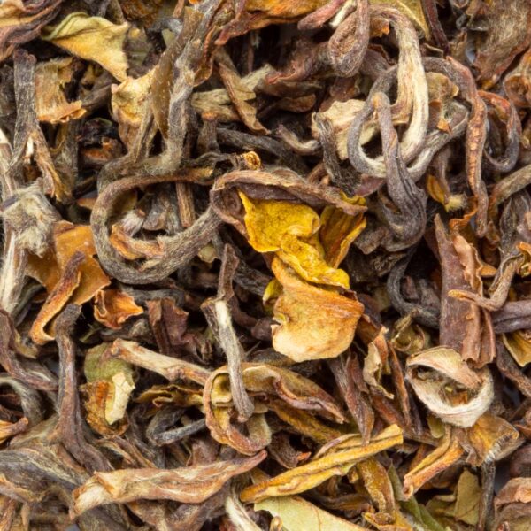 Thé Oolong Nepal 1st Flush Jun Chiyabari Bio (première récolte) par Made in Thé - Vue zoomée