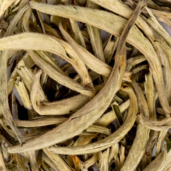 Made In The White Tea TBL013 The Blanc Yin Zhen Silverneedle Bio Top View Standard 2