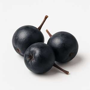 Aronia
