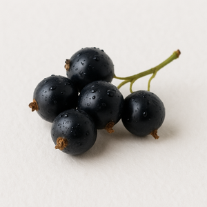 Blackcurrant
