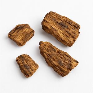 Chicory root