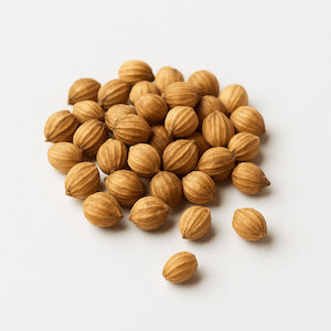 Coriander
