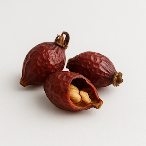 Rosehip