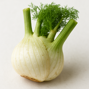 Fennel