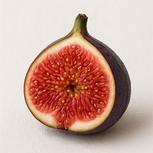 Fig