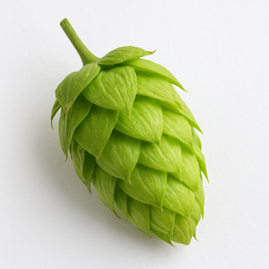 hop petals