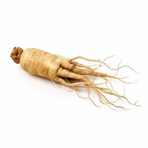 Ginseng