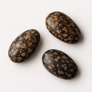 Chia seed