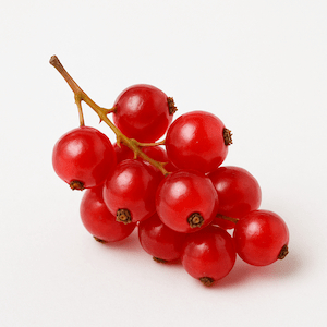 Redcurrant