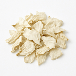 White hibiscus