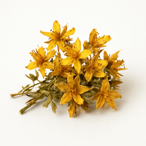 St. John’s wort