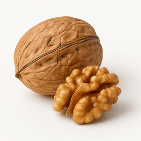 Walnut