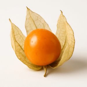 Physalis