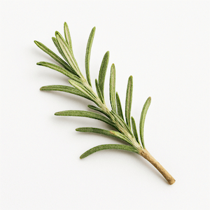 Rosemary