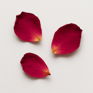 Rose petals
