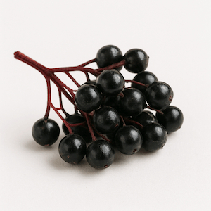 Elderberry
