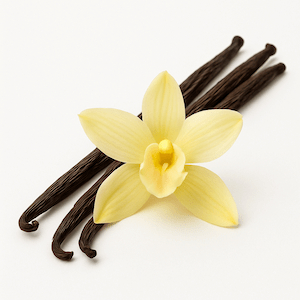 Vanilla