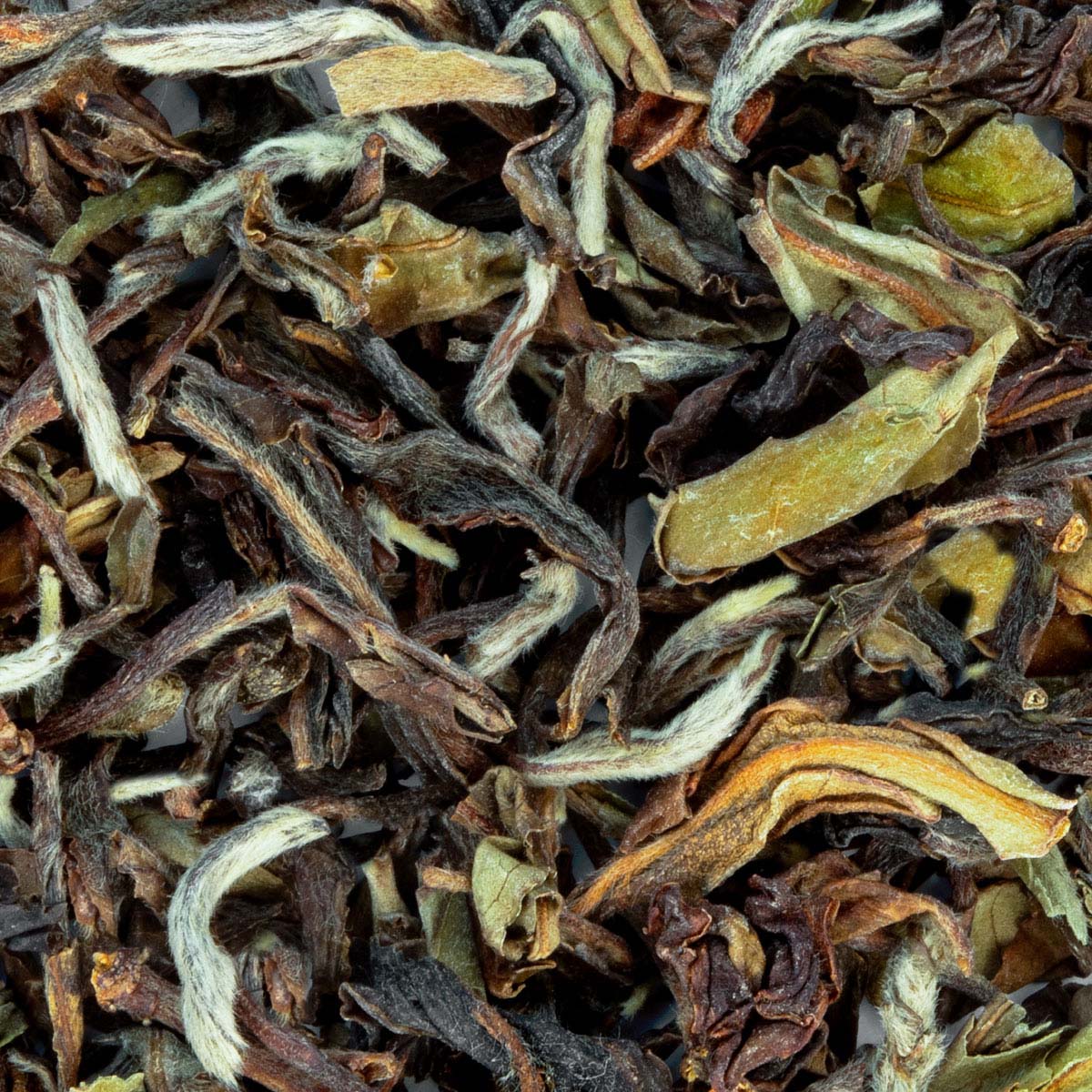 Thé Noir Darjeeling SFTGFOP1 Phuguri 1st Flush Bio (première récolte) par Made in Thé - Vue zoomée