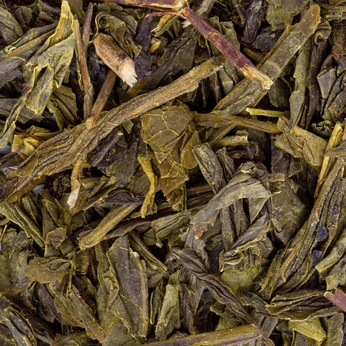 Thé Vert Bancha Bio par Made in Thé - Vue zoomée