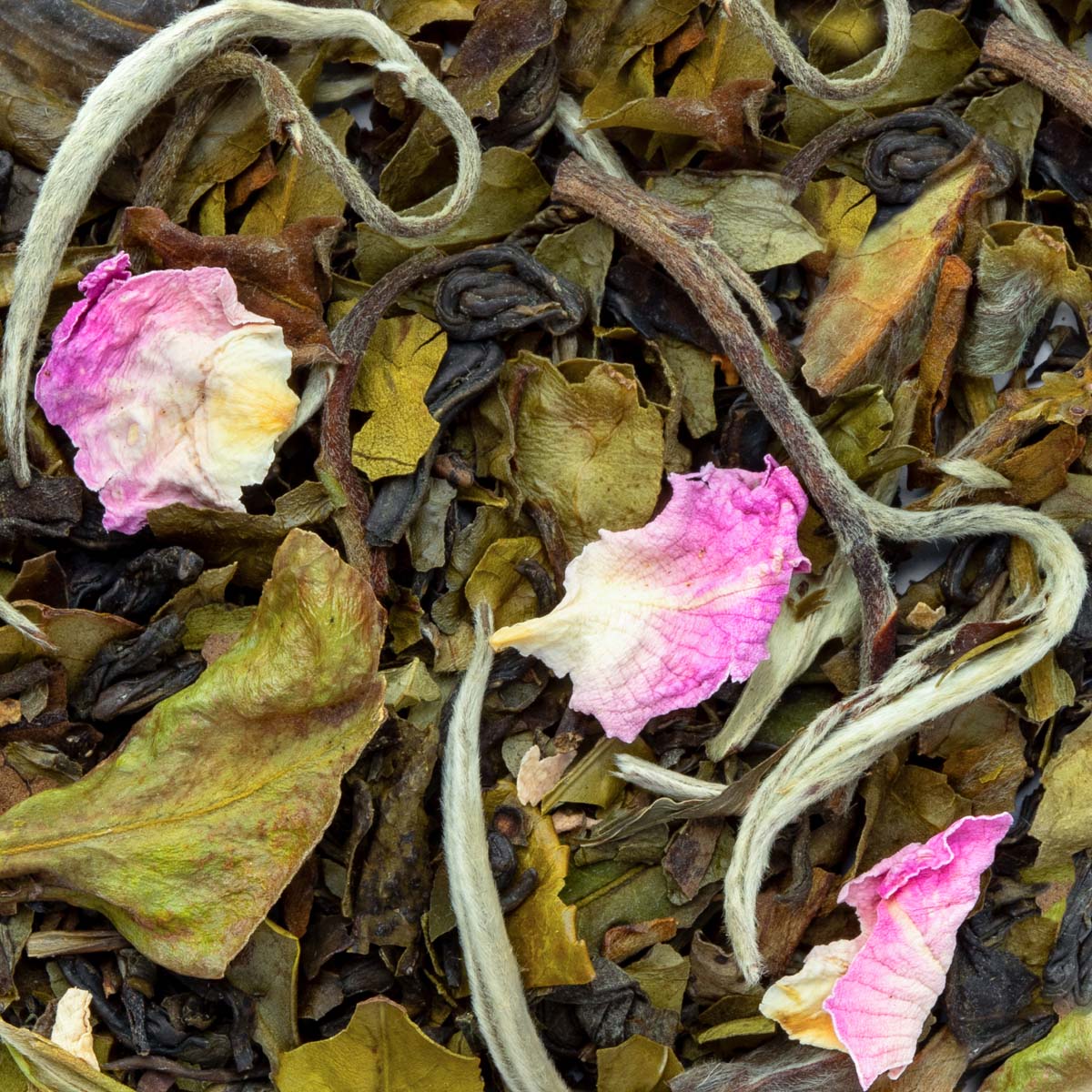 Thé Blanc Rose Vanillée Bio saveur Rose et Vanille en vrac par Made in Thé - Vue zoomée