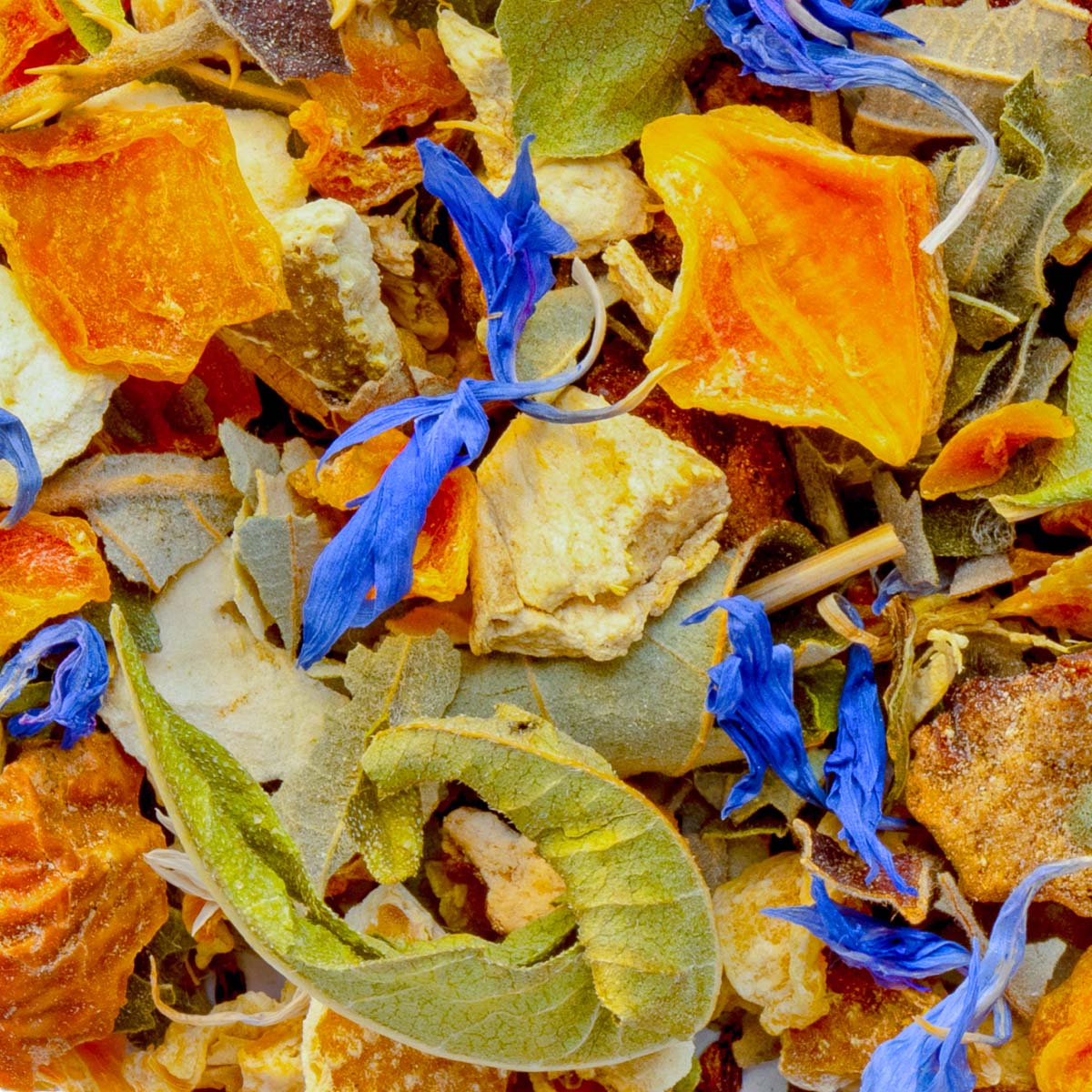 Tisane Jardin d’Hesperides Bio Saveur Orange par Made in Thé - Vue zoomée