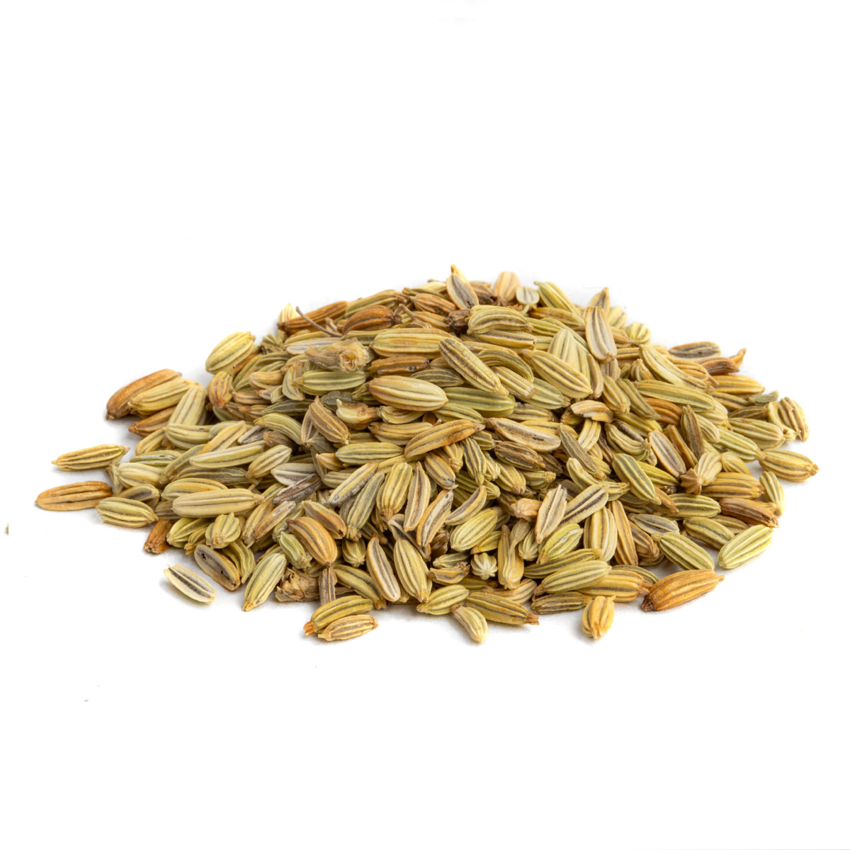 Fenouil Bio par Made in Thé - Vue de côté